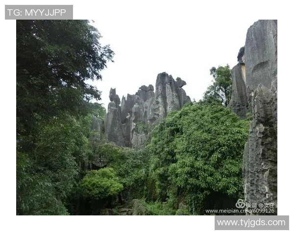 上海羽毛球队逆袭之旅:从低谷到巅峰的杯赛传奇故事